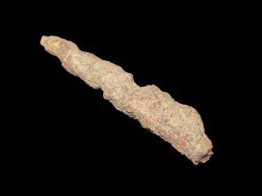 Coprolite Fossilized Dinosaur Poop / Dung, 100 Million Years Old