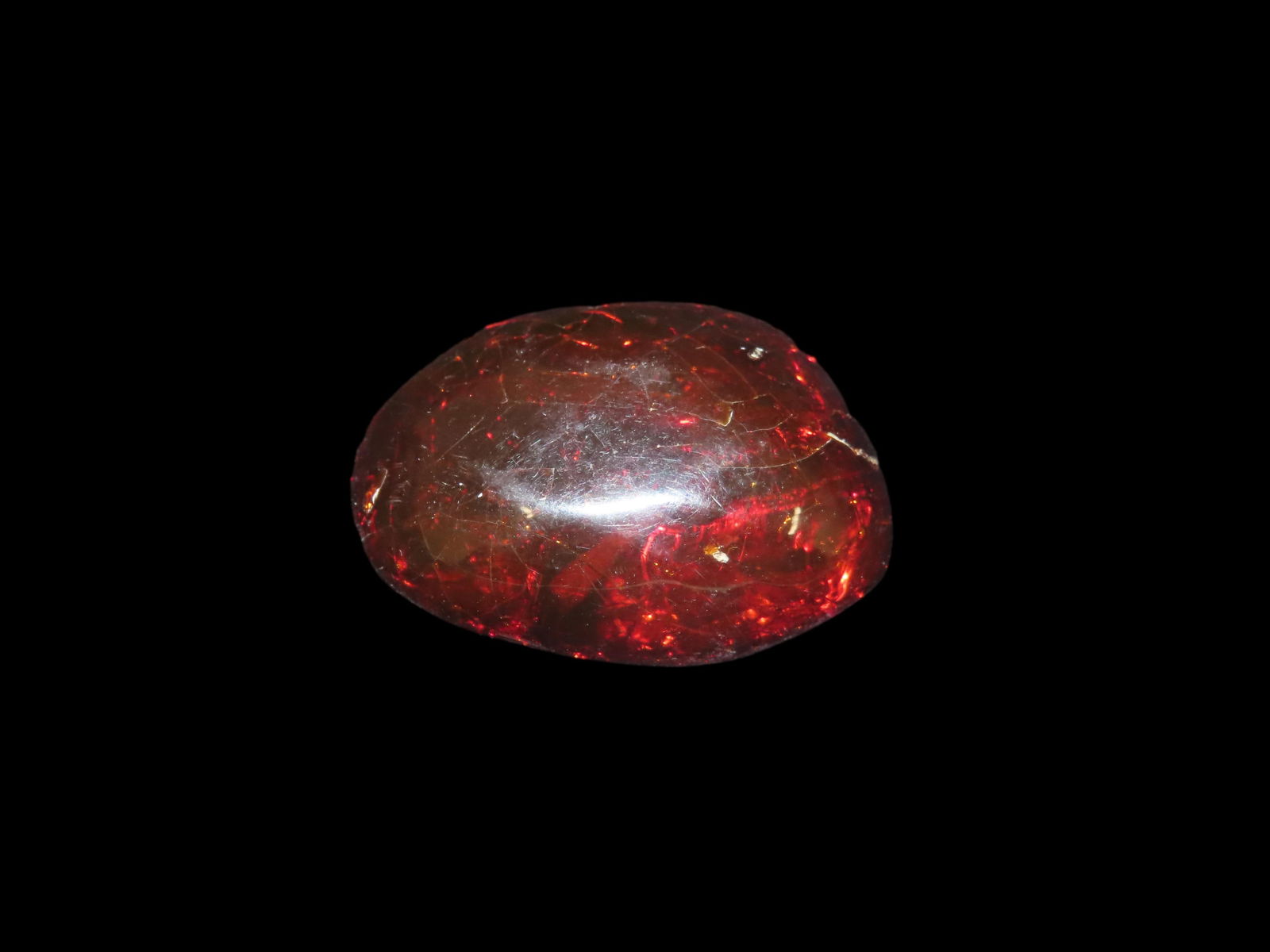 Piece of Fossilized Amber, Found in Europe, From a Private Collection in Pennsylvania: Piece of Fossilized Amber, Found in Europe, From a Private Collection in Pennsylvania