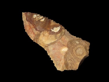 3 3/8" Serrated Snap Base, Central Florida, Ex Walt McIntire