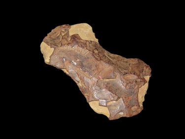 4" Limonite Axe, Alabama, Sold by Jerry Dickey