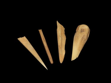Grouping of Bone Relics / Artifacts Central USA