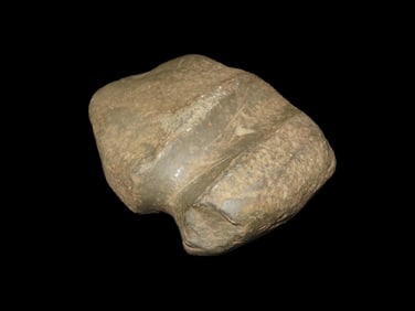 3 1/4" 3/4 Grooved Axe, Found in Brown County, Illinois