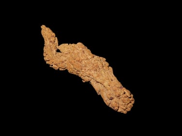 3 1/4" Coprolite Fossilized Dinosaur Poop/Dung, 100 Million Years Old