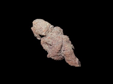 1 5/8" Section of Dinosaur Poop / Dung, Coprolite