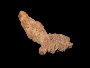 3 1/4" Coprolite, Fossilized Dinosaur Poop/Dung, 100 Million Years Old