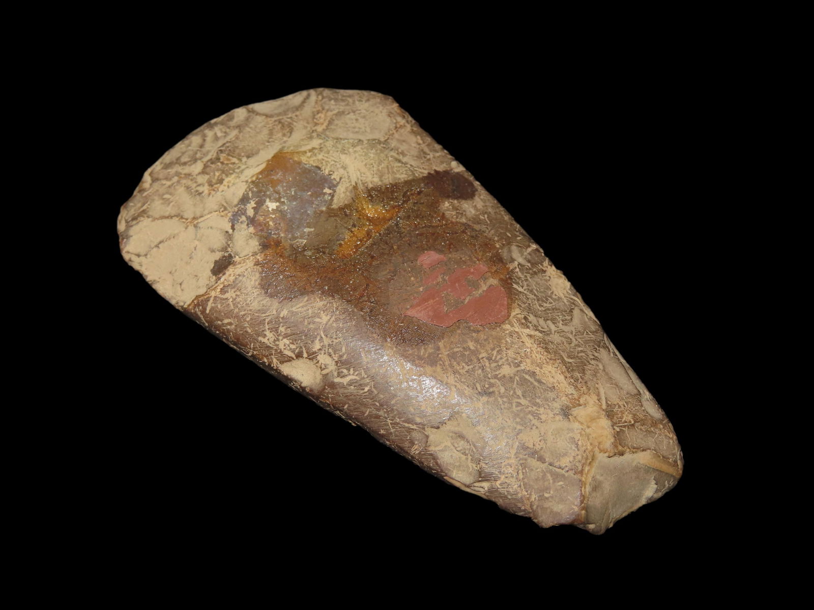 4 1/8" Claystone Chipped Celt, Found in Central Tennessee (1 of 5)