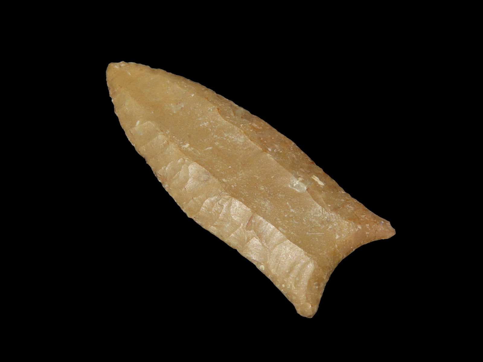 2 1/2" Cumberland, TN 130JA, Ex Walt McIntire, REstored only on 1 ear and small amount on edge (1 of 5)