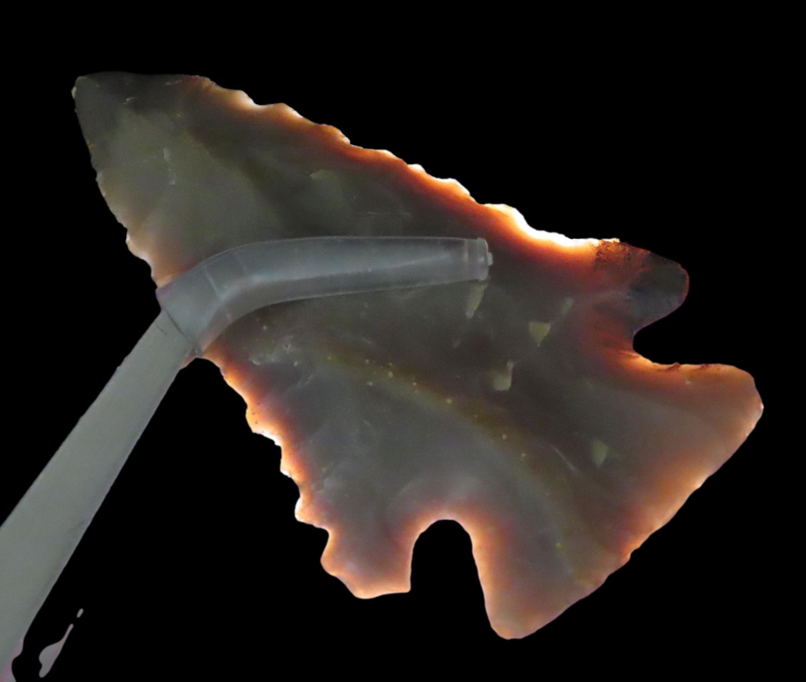 2 3/8" Pine Tree, Kentucky, Restored, Ex Walt McIntire (1 of 6)