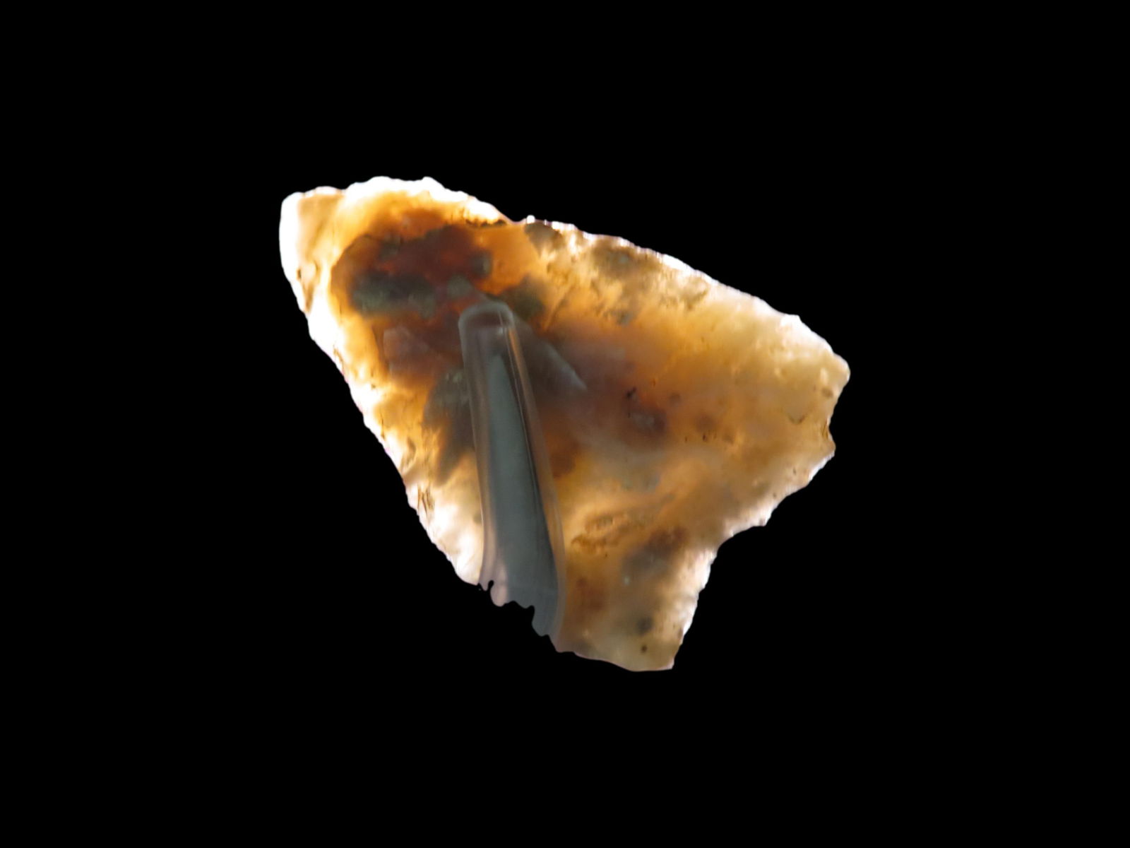 1 1/2" Very Translucent Coral Meserve, Panhandle of Florida, Paleo to Transitional Point Type (1 of 5)