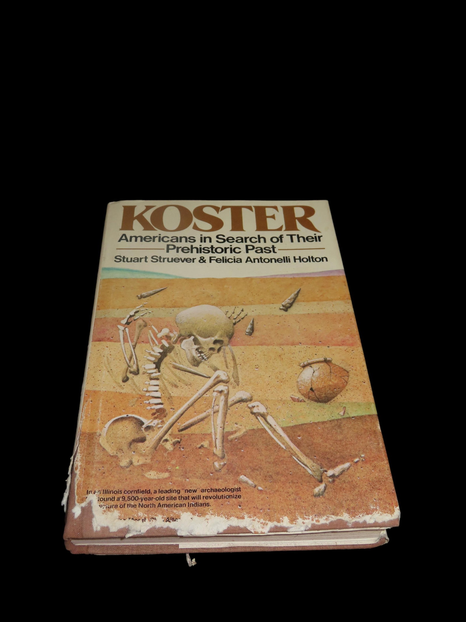 Koster Americans In Search of their Prehistoric Past, By Stuart Struever and Felicia Holton: Koster Americans In Search of their Prehistoric Past, By Stuart Struever and Felicia Holton