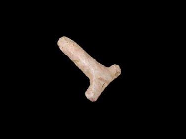 1 1/4" T-Drill, Henderson Kentucky, Ex Walt McIntire