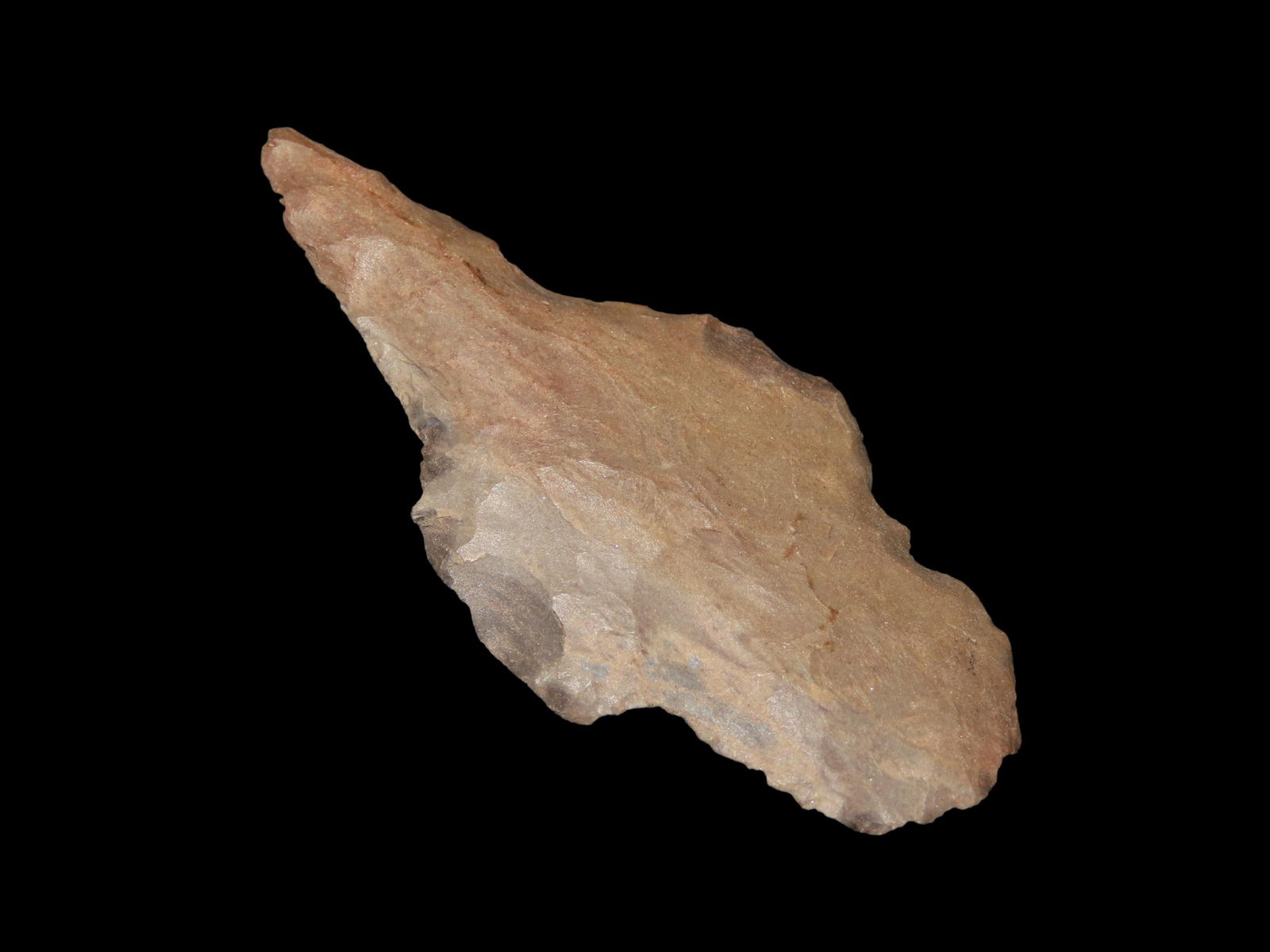 2 1/2" Archaic Drill, From Adair Co. Kentucky, Ex Walt McIntire Collection (1 of 5)