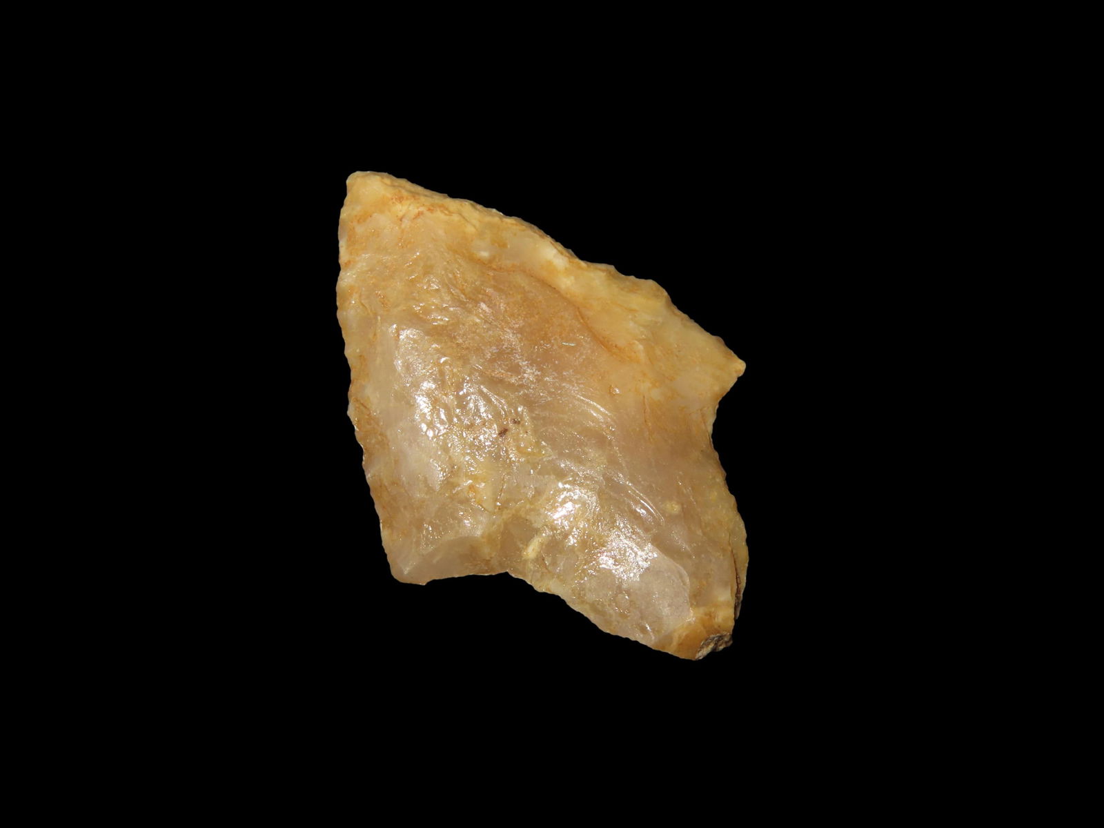 1 5/8" Highly Translucent Gary, From Panhandle of Florida (1 of 5)