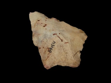 3 1/8" Nassau Co. Florida Arrowhead