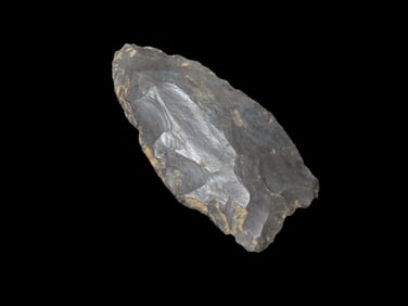 Paleo Pt., EX Gary Noel, KY