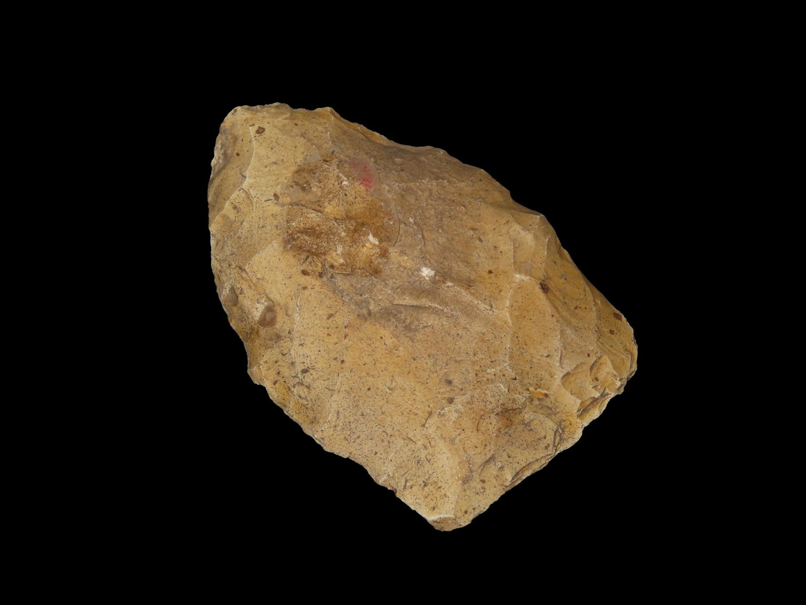 Arrowheads, Nassau Co., FL (1 of 5)