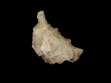 2 1/4" Doodle / Eccentric Found in Van Buren Co. Iowa, Ex Millard