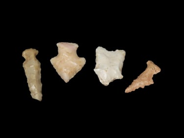 Set of Missouri Arrowheads, Bird Points and a Dalton