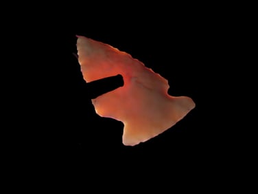 1 3/8" Translucent Birdpoint