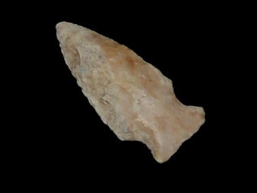 2 5/8" Woodland Point