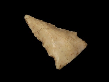 1 11/16" Exhausted Pinetree