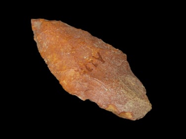 2 1/2" Riverstained Adena