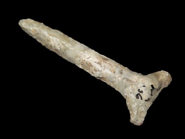 2 9/16"  Excellent T drill found in Missouri