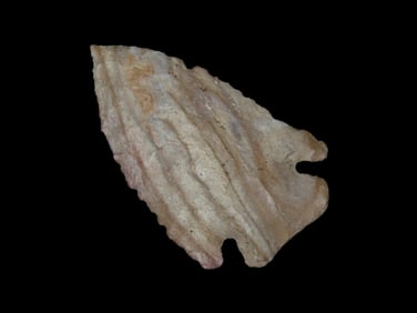 2 1/4" Incredible Pinetree