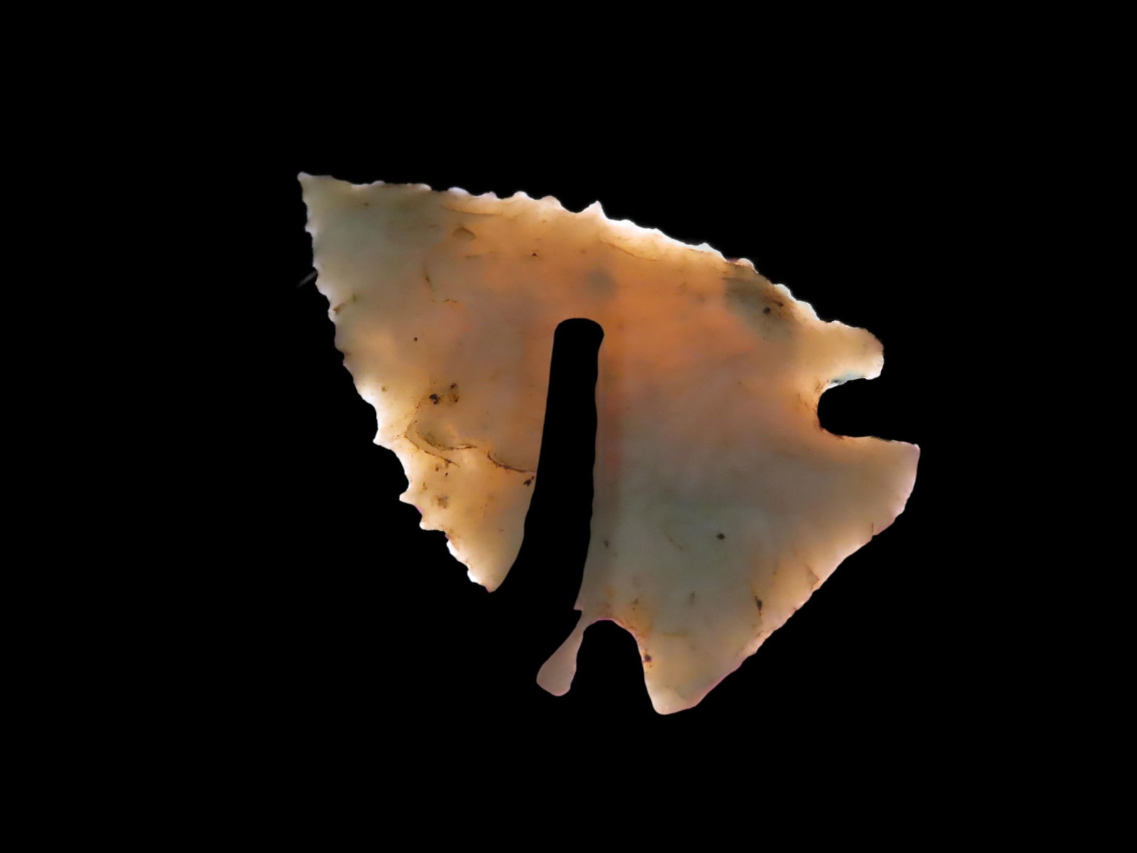 1 7/8" Superior Toothly Neuberger, Highly Translucent (1 of 6)