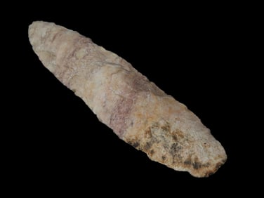 5 1/8" Sedalia Found by Geoff Sandt in St. Louis Co. Missouri, Known as the Rockhunter on YouTube