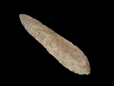 4 7/16" Angostura Found by Geoff Sandt in St. Louis Co. Missouri, Known as the Rockhunter on YouTube