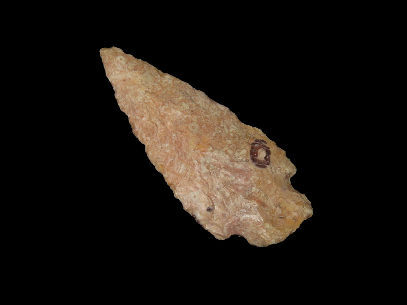 3 1/4" Colorful Arrowhead Found by Geoff Sandt in St. Louis Co. Missouri, Known as the Rockhunter on (1 of 5)