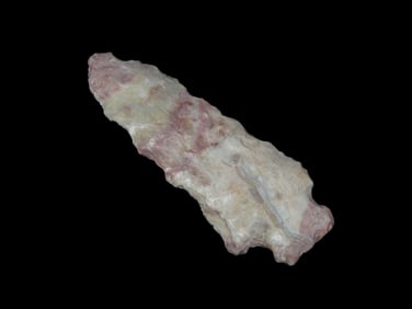 2 3/4" Rice Lobbed Found by Geoff Sandt in St. Louis Co. Missouri, Known as the Rockhunter on