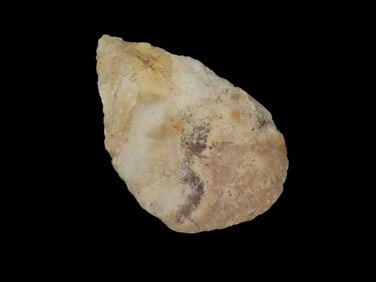 3 7/8"x2 3/8" Archaic Knife, EX: Schoon Woodford Co IL.