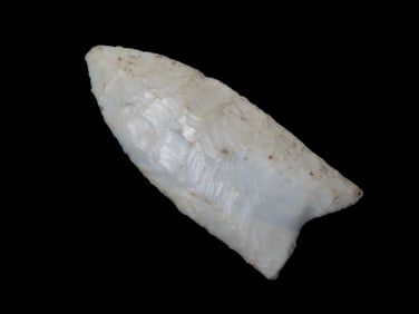 2 3/8" x 1" Clovis, Motley COA, found in St.Clair Co., Illinois, Ex Robert Brusatte Collection