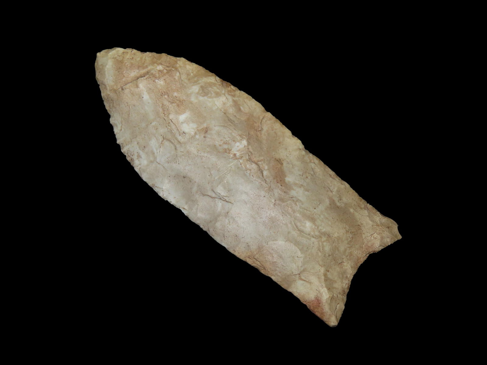 3 1/4" x 1 3/16" Clovis, Motley COA, found in Sumner Co., Tennessee, Ex Robert Brusatte Collection (1 of 9)