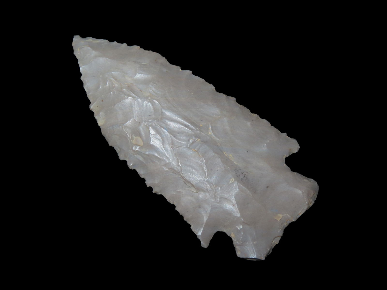 2 5/8" X 1 1/4" Stillwell, Davis COA, Found in Kentucky (1 of 9)