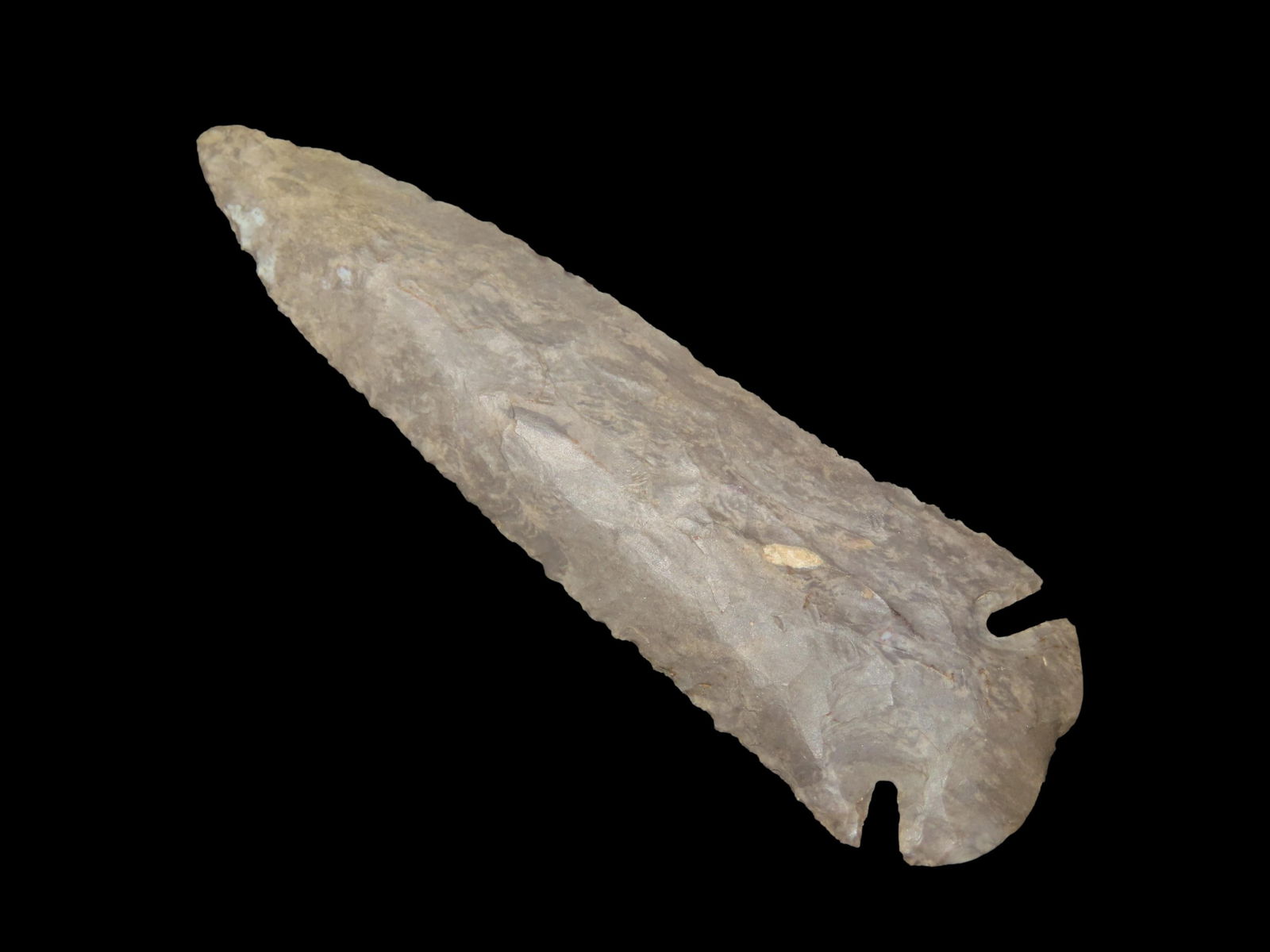 4 1/4" x 1 5/16" Dovetail, Motley COA, found in Logan Co., Kentucky, Ex Robert Brusatte Collection (1 of 9)