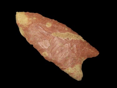 3" x 1 1/4" Clovis, Motley COA, found in Stoddard Co., Missouri, Ex Robert Brusatter