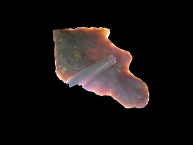 1 7/8" x 1 1/16" Exotic Point, Jackson COA, found in Western Kentucky