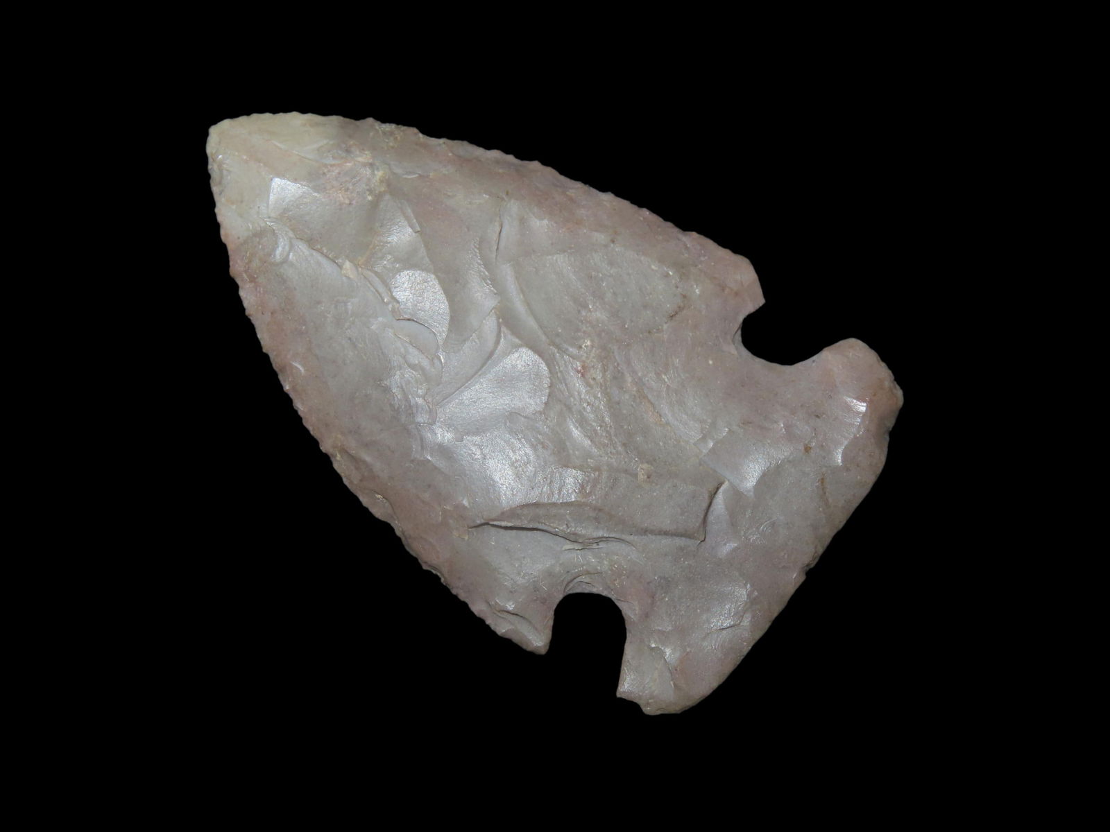 2 5/16" X 1 3/8" Godar, Davis COA, Found in Southern Illinois (1 of 9)