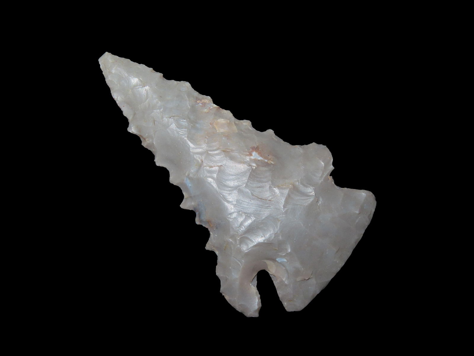 2 1/8" X 1 3/16" Pinetree, Smoot COA, Found in Swans Landing Harrison Co. Indiana (1 of 9)