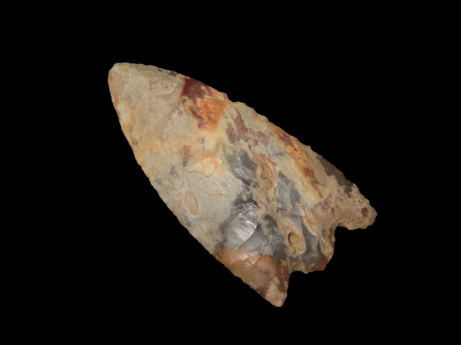 2 1/16" X 1 1/16" Eva I, Dickey COA, Found in Lee Co. MS, Ex Bill Pettit (1 of 9)