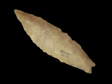 3 5/16" X 15/16" Angostura, Dickey COA, Found in Bexar Co. TX, Ex Bill Pettit