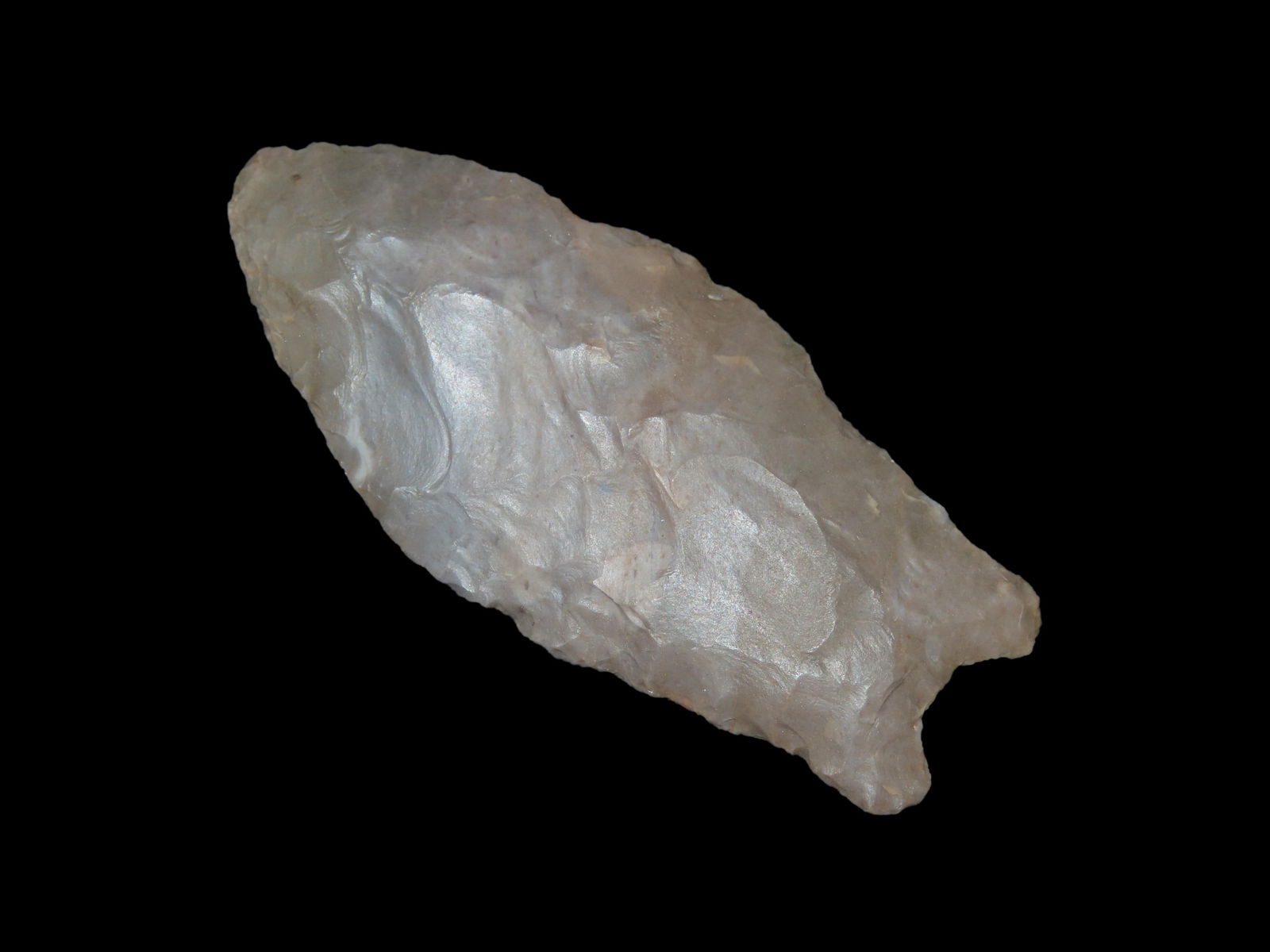 2 9/16" X 1 1/8" Lanceolate, Dickey/Perino COA, Found in Kentucky, Ex Bill Pinkston, Ex Doug (1 of 10)