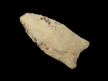 2 1/8" x 1" Clovis, Motley COA, found in Pike Co., Missouri, Ex Robert Brusatte Collection