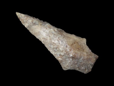 2 9/16" x 1" Hardee Beveled, Dickey COA, found in Tampa Florida Area Ex Michael Gorgas Collection