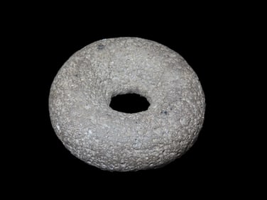 3 1/8" x 1 7/8" Discoidal, Attleboro Mass,Marvin Farm/ Beaver Site Ex: Peter Engstrom/ Dr, Robbins.