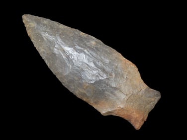 3" x 1 1/16" Nolan-Zorra, Dickey COA, Ex Jim Lee Collection