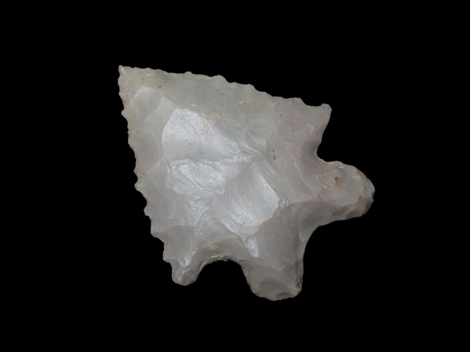 2 3/16" x 1 3/4" MacCorkle, Davis COA, found in Kentucky (1 of 9)